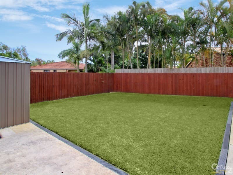 11 Calluna Place, Mountain Creek, QLD, 4557, Mountain Creek - Thumbnail 8