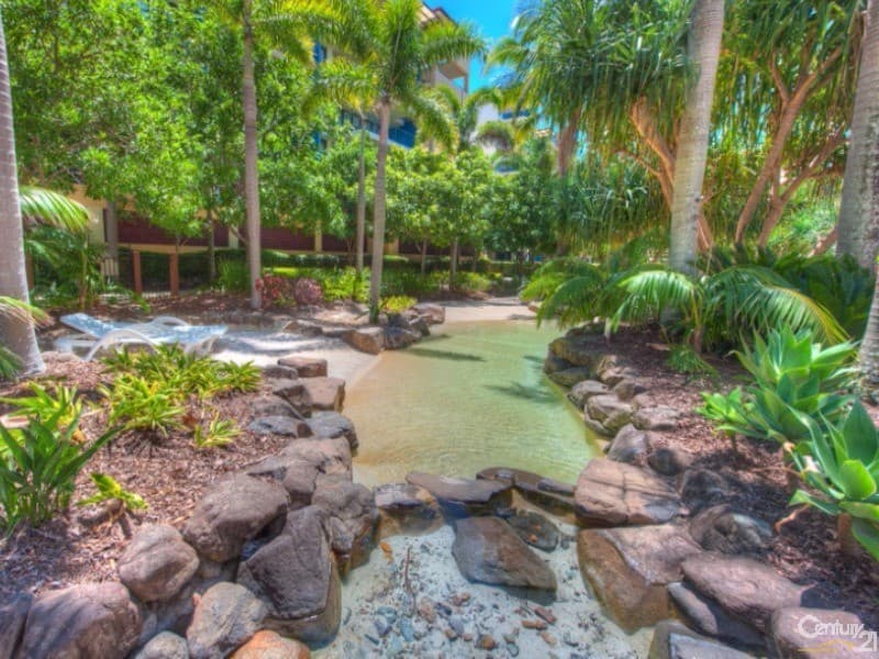 232/21 Wirraway Street, Alexandra Headland, QLD, 4572, Alexandra Headland - Thumbnail 7