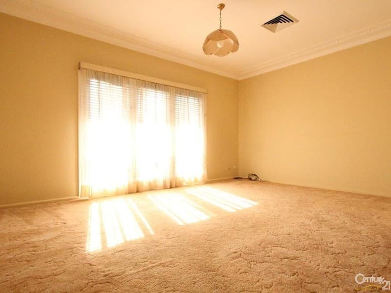 138 Meadows Road, Mount Pritchard, NSW, 2170, Mount Pritchard - Thumbnail 3