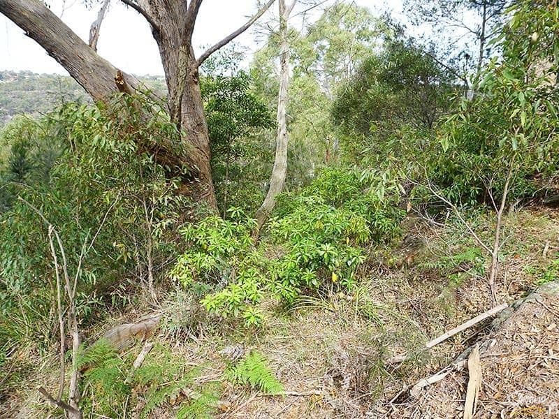 11 Foreman Pl, Barden Ridge, NSW, 2234, Barden Ridge - Thumbnail 4