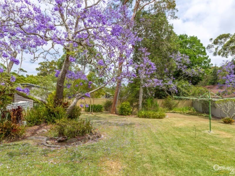 72 Yarran Road, Oatley, NSW, 2223, Oatley - Thumbnail 2