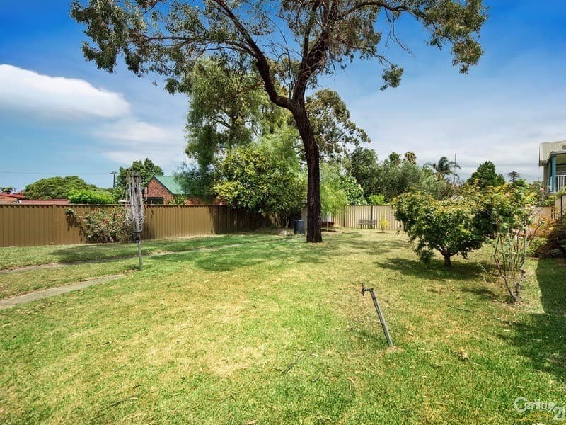 38 Clarence Road, Rockdale, NSW, 2216, Rockdale - Thumbnail 6