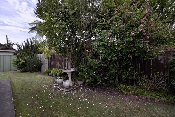 2 Sindone Place, Caringbah, NSW, 2229, Caringbah - Thumbnail 7