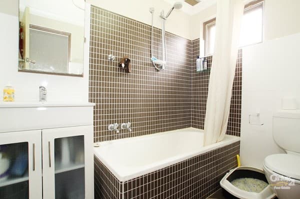 4/149 Cawarra Road, Caringbah, NSW, 2229, Caringbah - Thumbnail 5