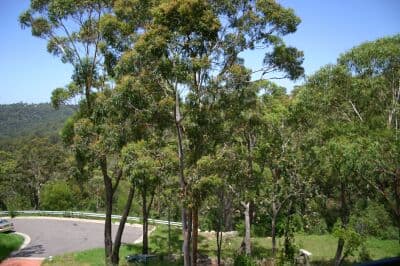 13/81 Barden Road Barden Ridge, Barden Ridge, NSW, 2234, Barden Ridge - Thumbnail 3