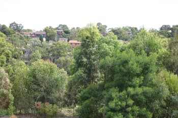 49 Llanberis Drive, Menai, NSW, 2234, Menai - Thumbnail 2