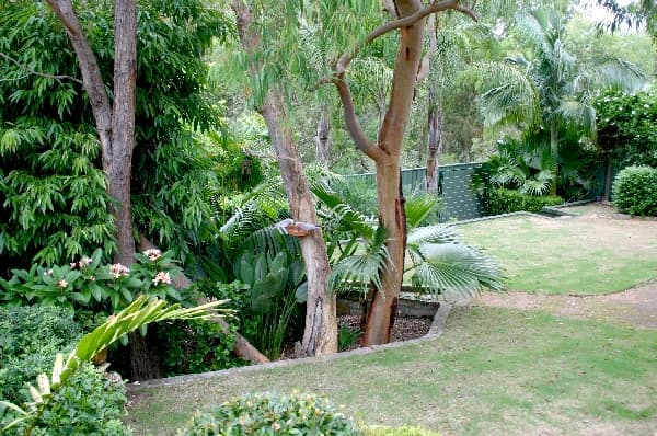Building G, 5-21 Carter Road, Menai, NSW, 2234, Barden Ridge - Image 1