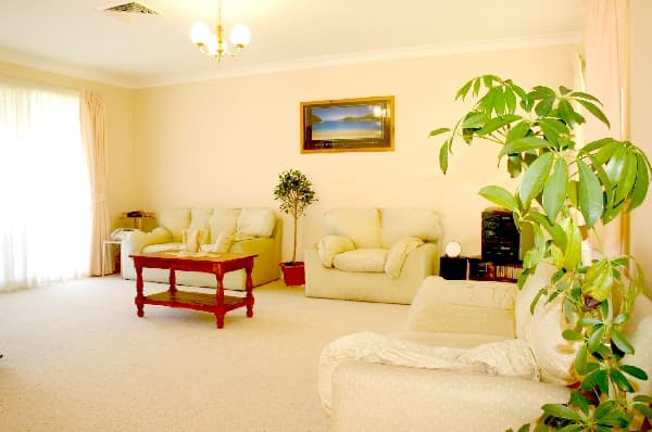 137 David Road, Barden Ridge, NSW, 2234, Barden Ridge - Thumbnail 2