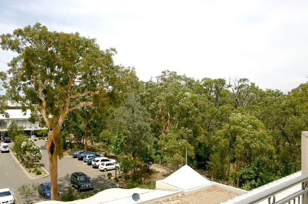 Building G, 5-21 Carter Road, Menai, NSW, 2234, Menai - Thumbnail 7
