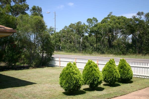 213 Old Illawarra Road, Barden Ridge, NSW, 2234, Barden Ridge - Thumbnail 6