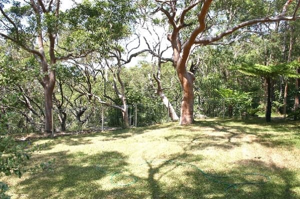 Building G, 5-21 Carter Road, Menai, NSW, 2234, Bangor - Thumbnail 7