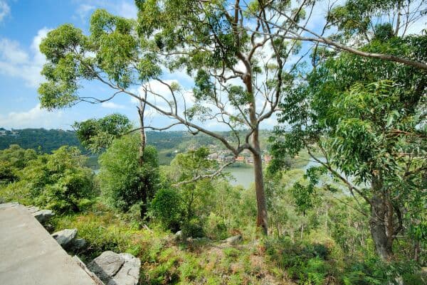 55A Sproule Rd, Illawong, NSW, 2234, Illawong - Thumbnail 5