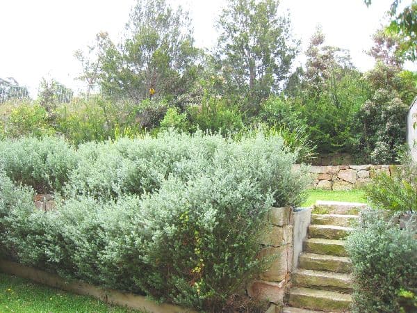 10/40-44 Australia Road, Barden Ridge, NSW, 2234, Barden Ridge - Thumbnail 5