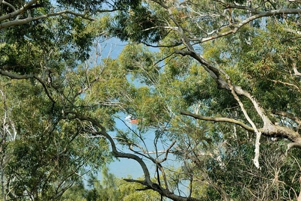 76 Fowler Rd, Illawong, NSW, 2234, Illawong - Thumbnail 2