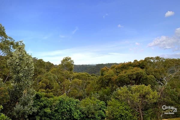 4 Bangalee Place, Bangor, NSW, 2234, Bangor - Thumbnail 5