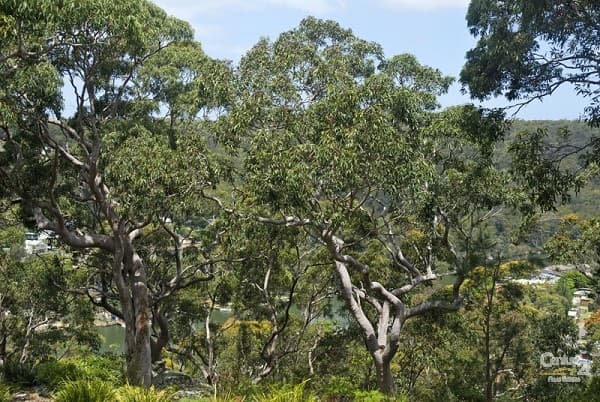 48/20-26 Arana Crest, Bangor, NSW, 2234, Bangor - Thumbnail 6