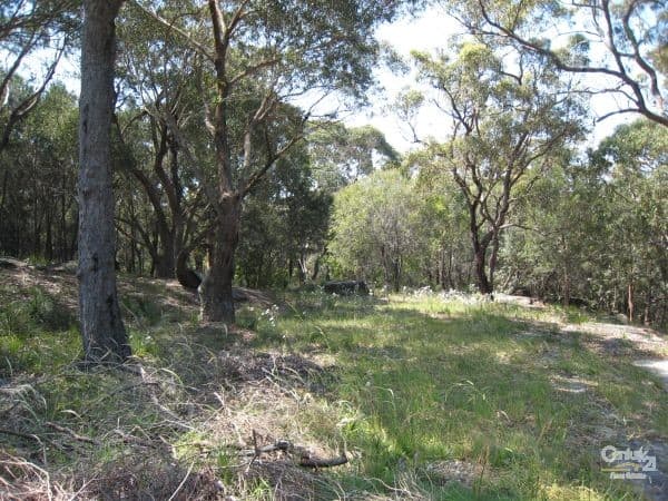 16 Foreman Pl, Barden Ridge, NSW, 2234, Barden Ridge - Image 1