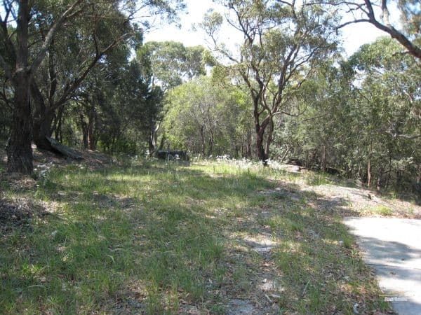 16 Foreman Pl, Barden Ridge, NSW, 2234, Barden Ridge - Thumbnail 2