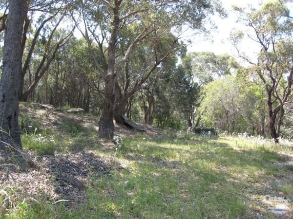 16 Foreman Pl, Barden Ridge, NSW, 2234, Barden Ridge - Thumbnail 4