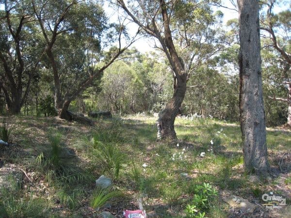 16 Foreman Pl, Barden Ridge, NSW, 2234, Barden Ridge - Thumbnail 6