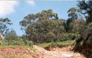 Building G, 5-21 Carter Road, Menai, NSW, 2234, Sutherland - Image 1