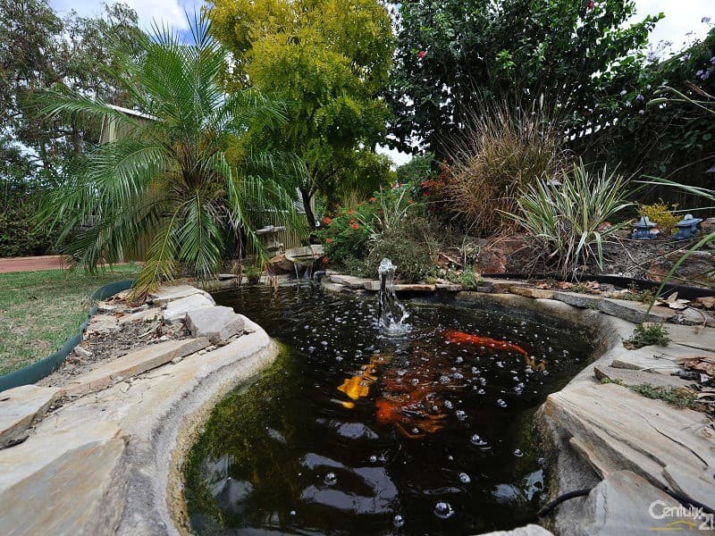 46 Queen Parade, Wannanup, WA, 6210, Wannanup - Thumbnail 7