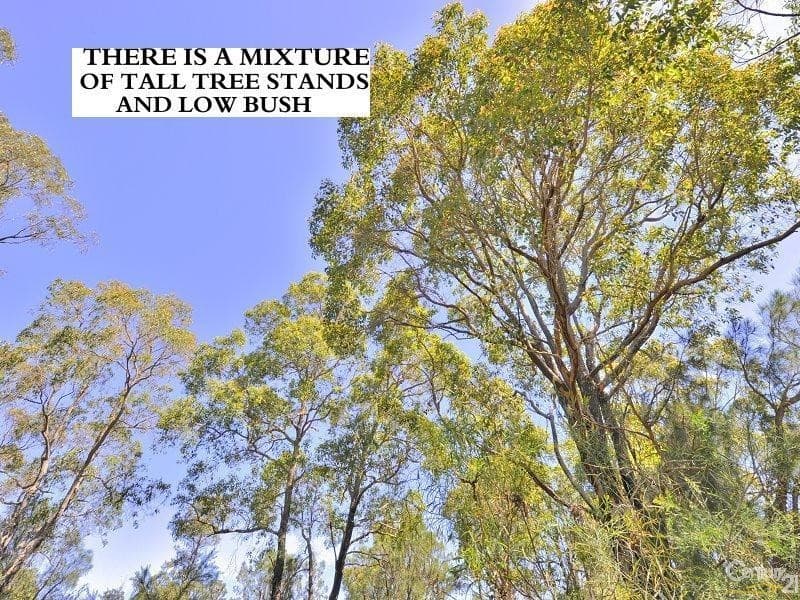 95 Stock Road, Parklands, WA, 6180, Parklands - Thumbnail 3