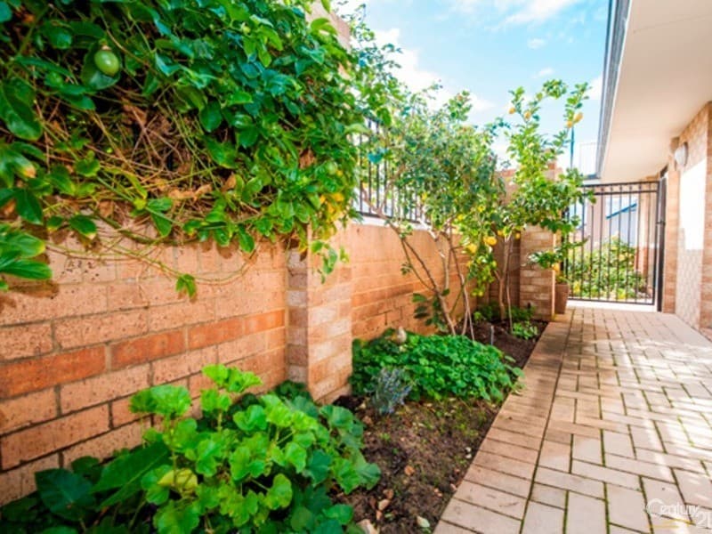 Villa 76 Anglesea Way, Bethanie Esprit, Bunbury, WA, 6230, Bunbury - Thumbnail 6