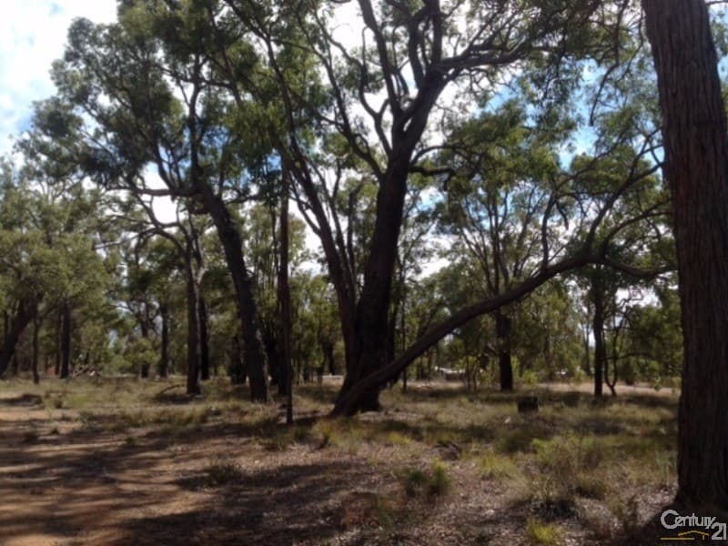 34 Fairway Place, Boddington, WA, 6390, Boddington - Thumbnail 6