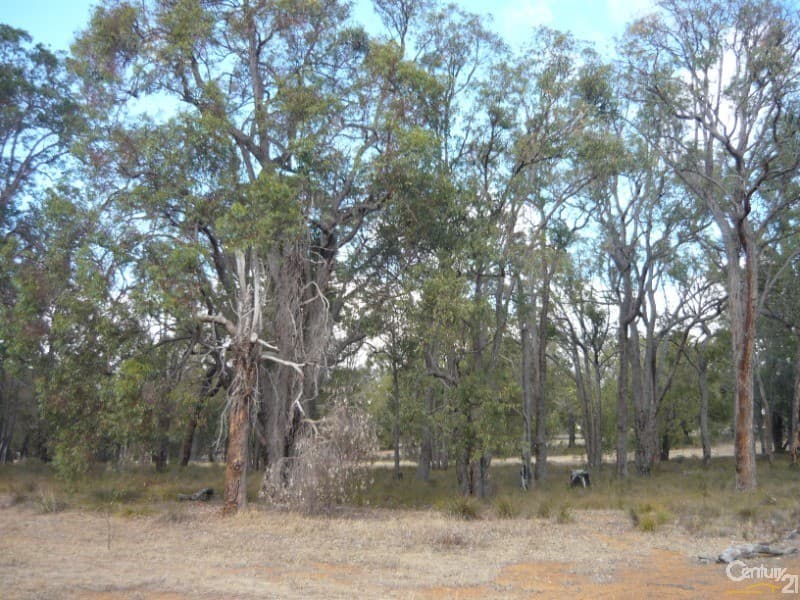 34 Fairway Place, Boddington, WA, 6390, Boddington - Thumbnail 7