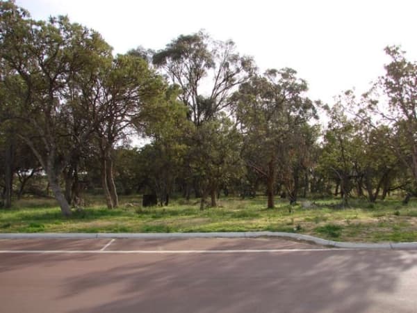 26 Winslow Crescent, Lakelands, WA, 6210, Lakelands - Thumbnail 5