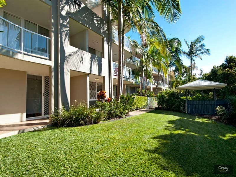 21/2 Box Street, Buderim, QLD, 4556, Buderim - Thumbnail 4