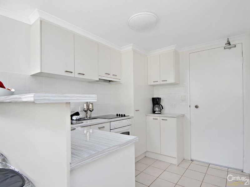 21/2 Box Street, Buderim, QLD, 4556, Buderim - Thumbnail 3