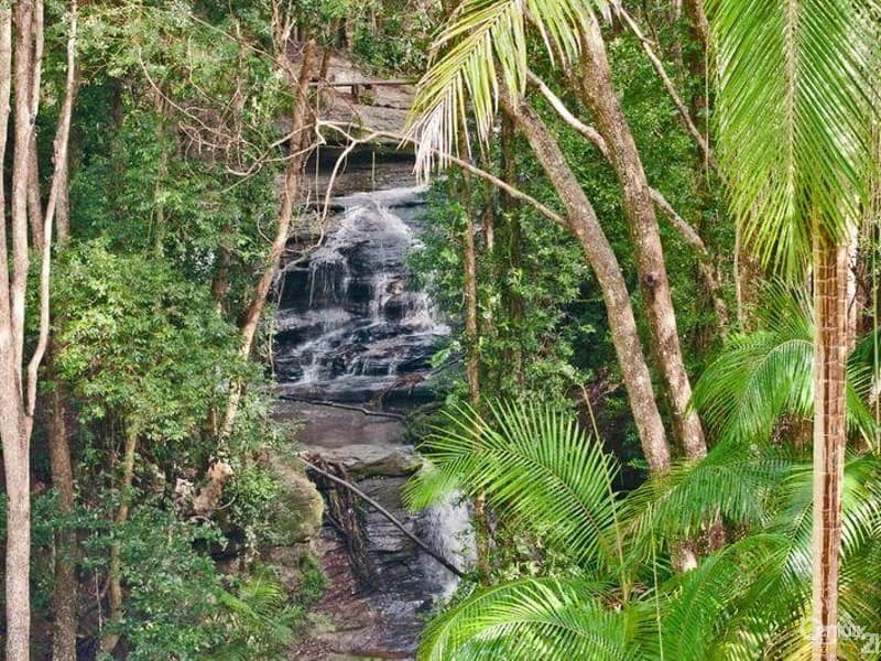 1/8 King Street, Buderim, QLD, 4556, Buderim - Thumbnail 3