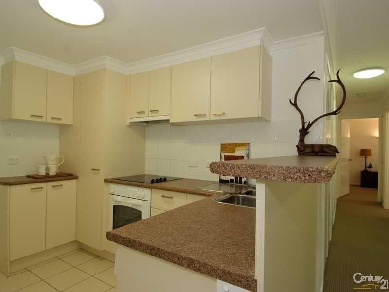 12/2 Box Street, Buderim, QLD, 4556, Buderim - Thumbnail 4