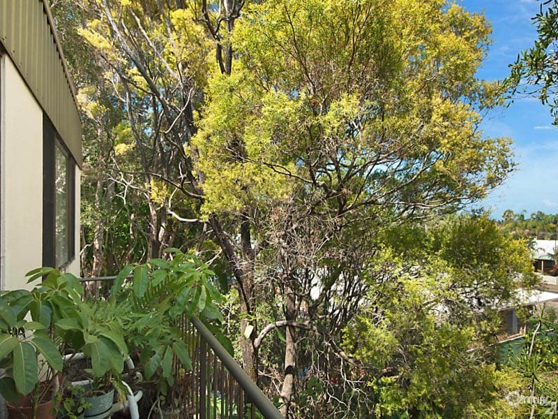 9/143 Bundilla Boulevard, Mountain Creek, QLD, 4557, Mountain Creek - Thumbnail 3