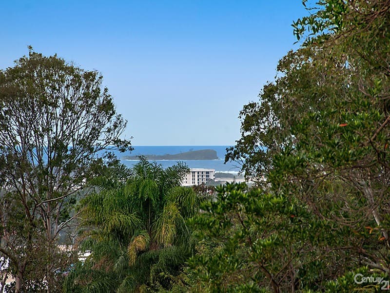 1/259 Mooloolaba Road, Buderim, QLD, 4556, Buderim - Thumbnail 4