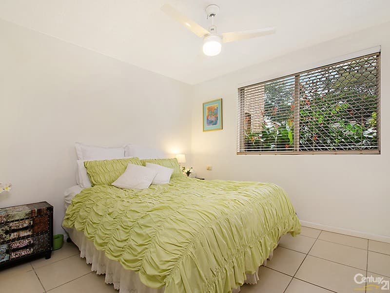 1/2 Allamanda Avenue, Buderim, QLD, 4556, Buderim - Thumbnail 8