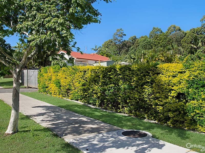 40 Sutherland Street, Buderim, QLD, 4556, Buderim - Thumbnail 2