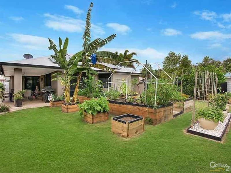 6 Leah Close, Buderim, QLD, 4556, Buderim - Thumbnail 4