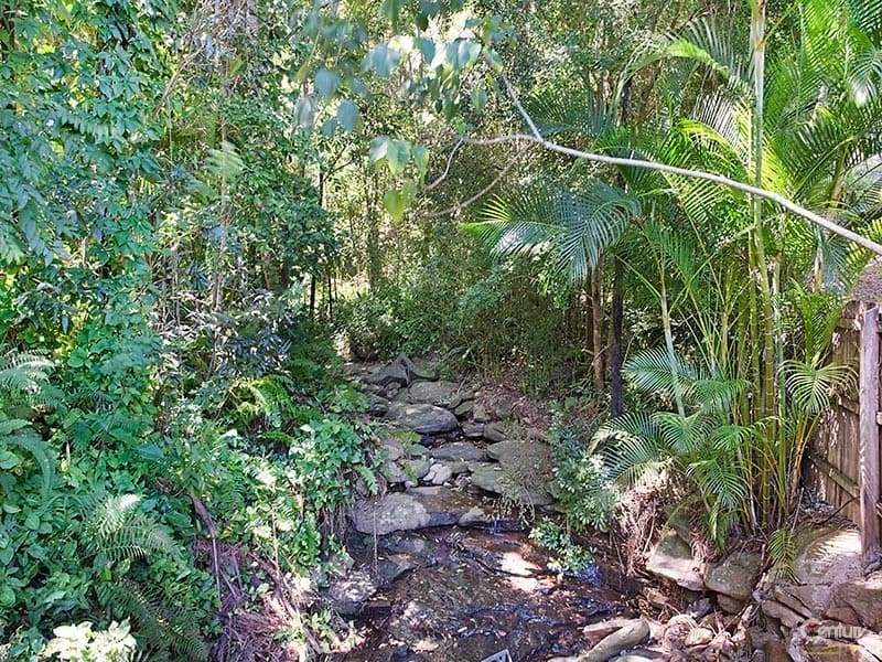 15 Blackbean Court, Buderim, QLD, 4556, Buderim - Thumbnail 3