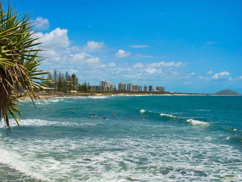 461/180 Alexandra Parade, Alexandra Headland, QLD, 4572, Alexandra Headland - Image 1