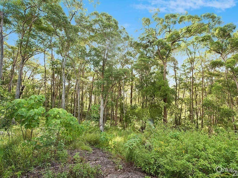 1/8 King Street, Buderim, QLD, 4556, Ninderry - Thumbnail 6