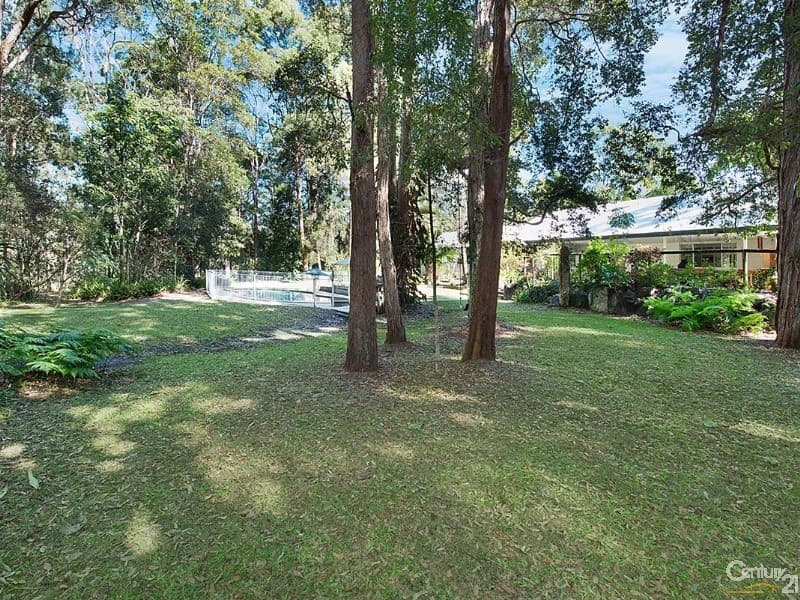 15 Eudlo Flats Road, Diddillibah, QLD, 4559, Diddillibah - Thumbnail 7