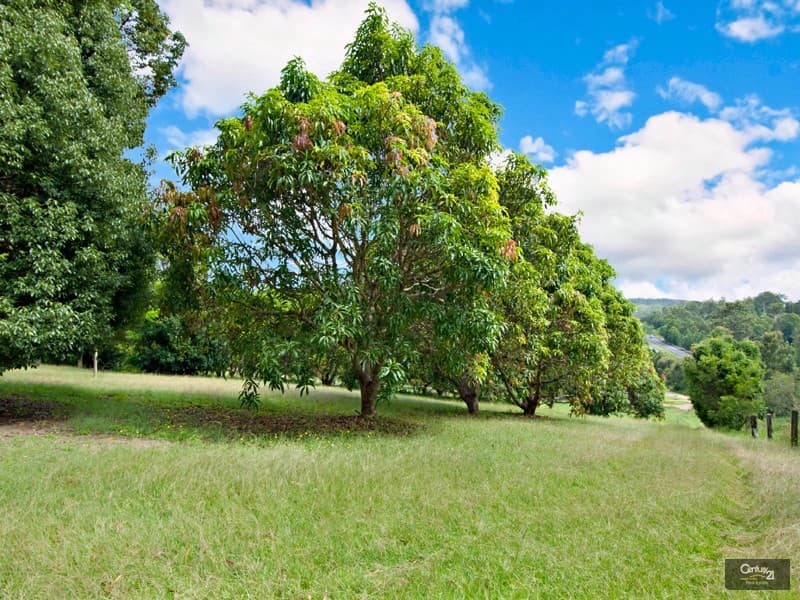 1/8 King Street, Buderim, QLD, 4556, Rosemount - Thumbnail 5