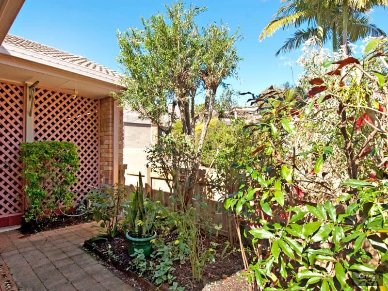 1/78 Burnett Street, Buderim, QLD, 4556, Buderim - Thumbnail 4