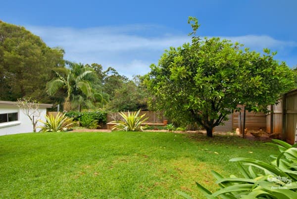 88 Mons School Road, Buderim, QLD, 4556, Buderim - Thumbnail 5
