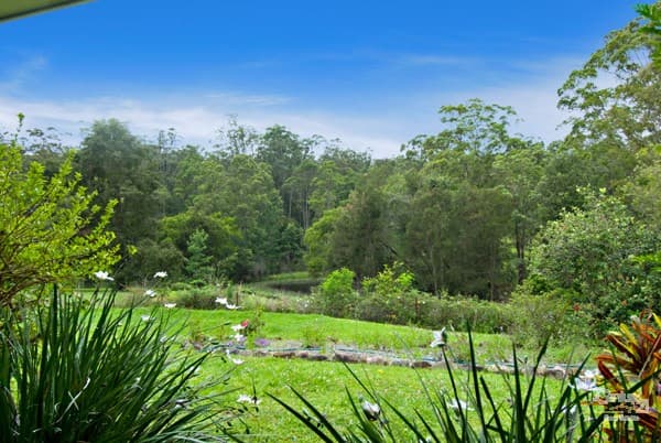 1/8 King Street, Buderim, QLD, 4556, Mooloolah Valley - Thumbnail 7