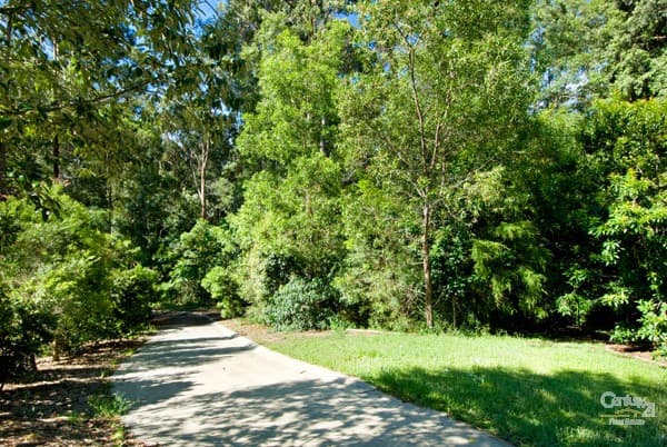 3 Secret Valley Court, Buderim, QLD, 4556, Buderim - Image 1