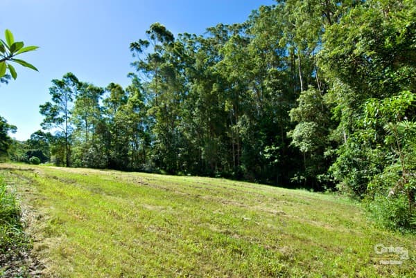 3 Secret Valley Court, Buderim, QLD, 4556, Buderim - Thumbnail 2